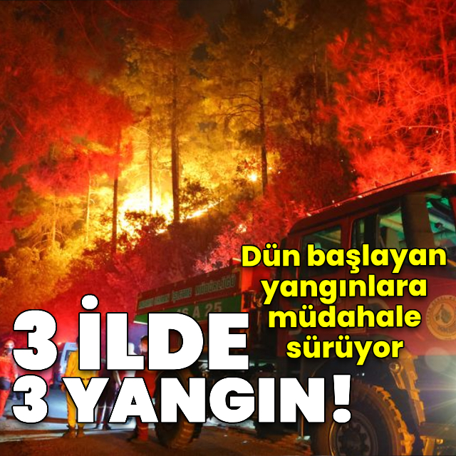 3 ilde orman yangınları sürüyor! Müdahale devam ediyor