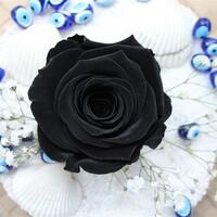 Siyah gülün anlamı nedir?