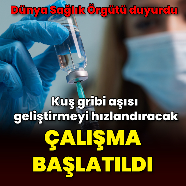 Kuş gribi aşısı geliştirmeyi hızlandıracak çalışma başlatıldı