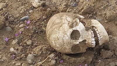 Yol ortasında insan kafatası bulundu