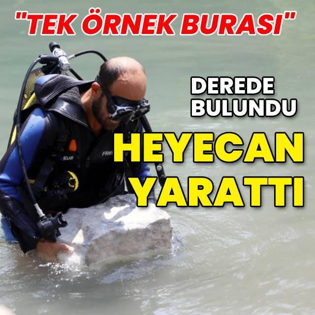 Derede bulundu, heyecan yarattı!