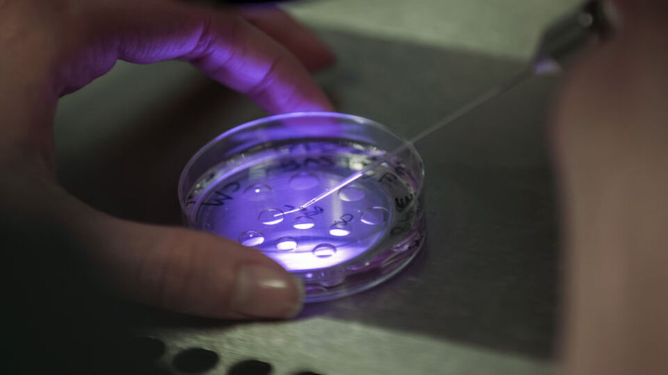 100 kadına yanlış tedavi iddiası! Annelik hayallerini ellerinden aldı