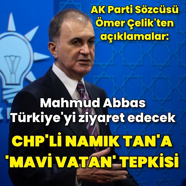 Çelik'ten Mavi Vatan tepkisi