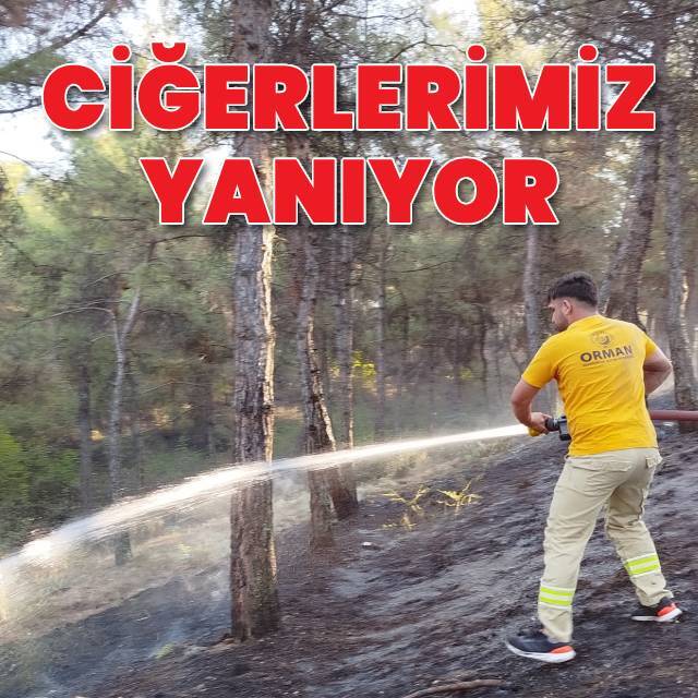 Ciğerlerimiz yanıyor!