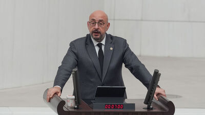 Sokak hayvanları kanunu teklifinde son durum