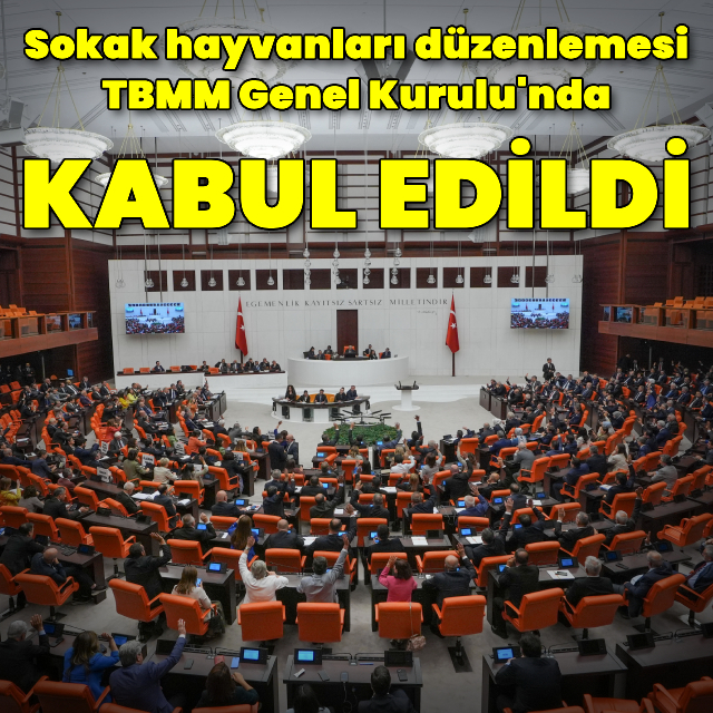 Sokak hayvanları düzenlemesi TBMM Genel Kurulu'nda kabul edildi