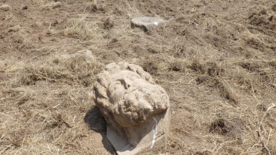 Aydın'da benzersiz keşif!