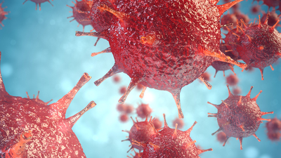 DSÖ'nün raporuna göre hepatitin bulaşma sıklığı artıyor