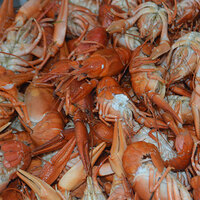 İstakoz nasıl yenir, tüketilir?