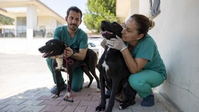 Gençlik hastalığına yakalanan Rüzgar ve Zeytin sağlığına kavuştu