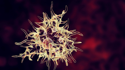 Hayatta kalması mucize! 14 yaşındaki çocukta beyin yiyen amip tespit edildi