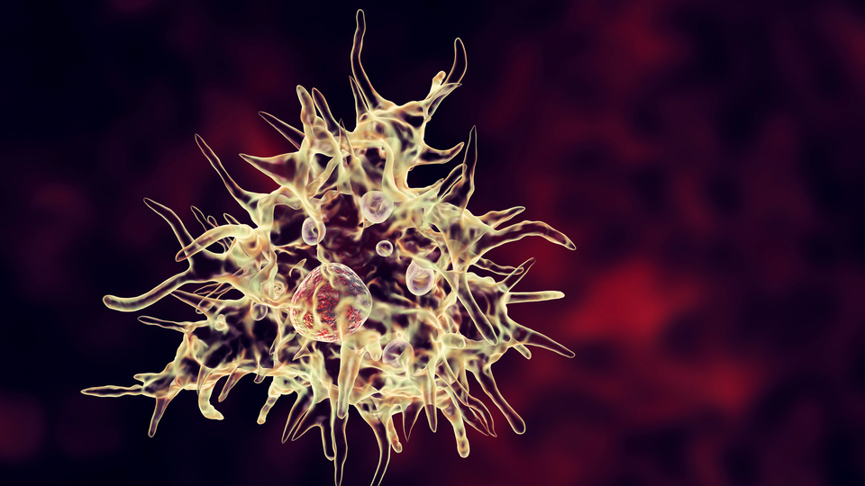 Hayatta kalması mucize! 14 yaşındaki çocukta beyin yiyen amip tespit edildi