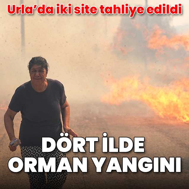 Dört ilde orman yangını