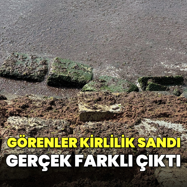 Görenler kirlilik sandı gerçek farklı çıktı