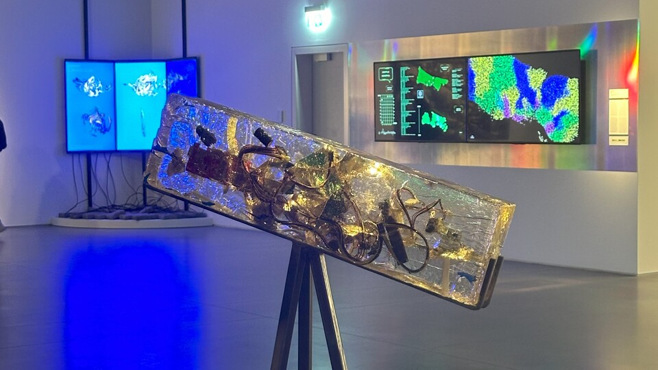 'Zamansız Meraklar' İstanbul Modern'de