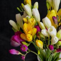 Frezya çiçeğinin anlamı nedir?