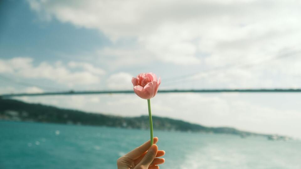 Pembe Lalenin Anlamı Nedir?