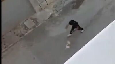 Şiddete uğrayan köpek sahiplendirildi