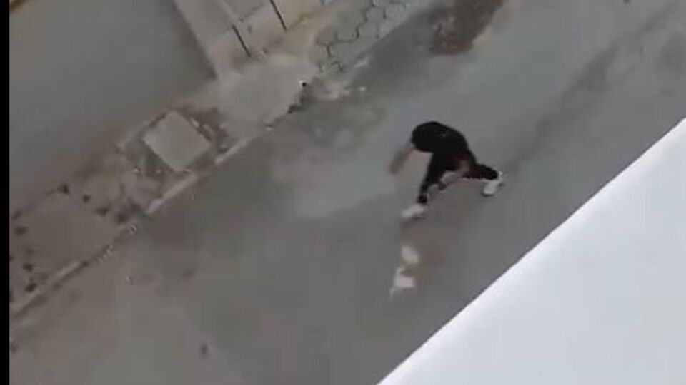 Şiddete uğrayan köpek sahiplendirildi