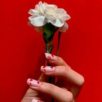 Beyaz karanfilin anlamı nedir?