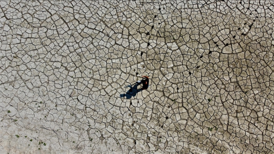 İklim endişesi olanların sayısı artıyor