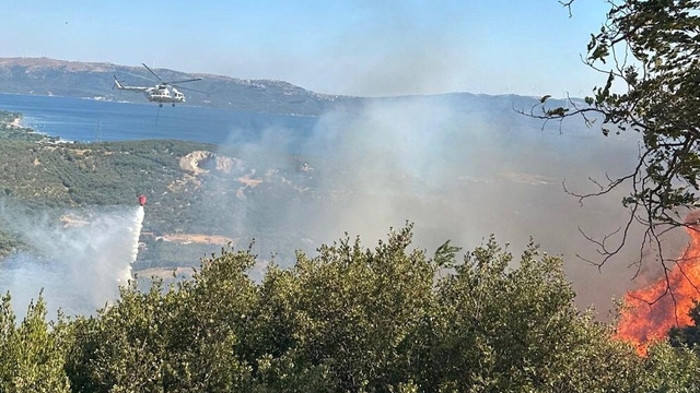 Türkiye'de orman yangınları!
