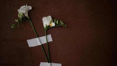 Beyaz frezyanın anlamı nedir?