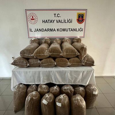 Uyuşturucu ve kaçakçılık operasyonları