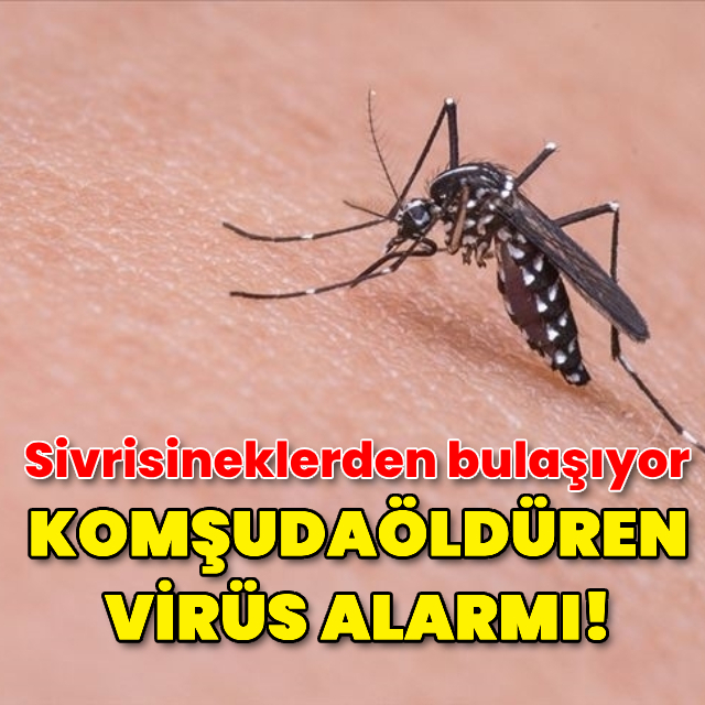 Komşuda öldüren virüs alarmı!