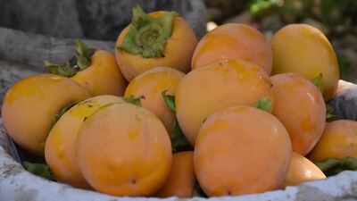 Cennet hurması nasıl yenir, tüketilir?