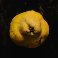 Ayva nasıl yenir, tüketilir?