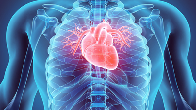 Sıcak havalar ani kalp krizini tetikliyor