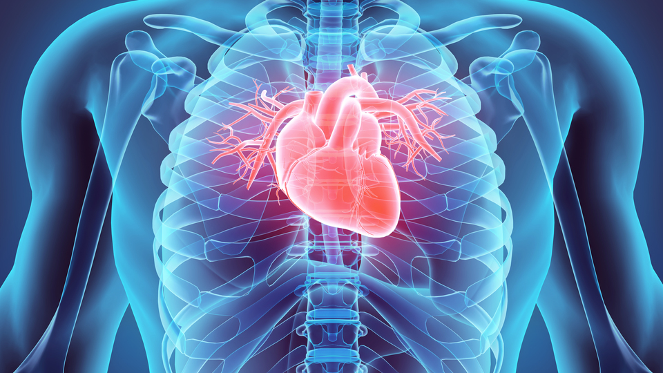 Sıcak havalar ani kalp krizini tetikliyor