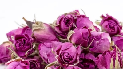 144 Adet Gülün Anlamı Nedir?