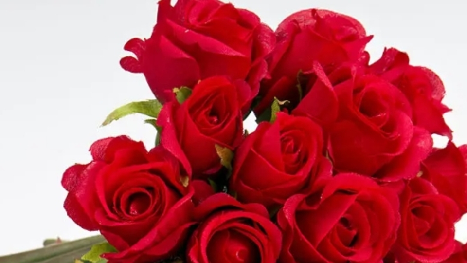 111 Adet Gülün Anlamı Nedir?