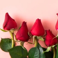 100 Adet Gülün Anlamı Nedir?