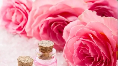 66 Adet Gülün Anlamı Nedir?