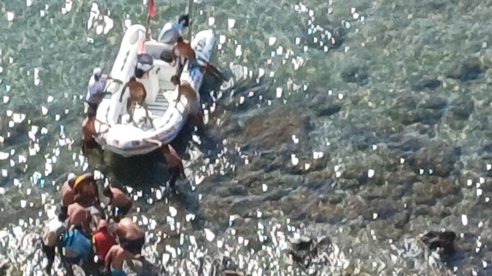 Uçurumdan düşen kişi kurtarıldı