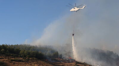 Bilecik ve Hatay'da orman yangını