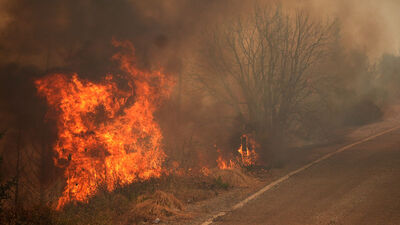 İzmir Urla yangınında bir kişi tutuklandı