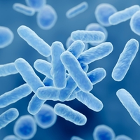  Probiyotikler dermatolojik sorunları olan çocuklara yardımcı olabilir mi?