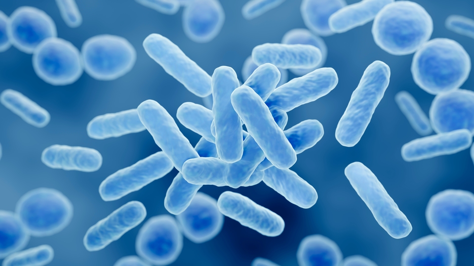 Probiyotikler dermatolojik sorunları olan çocuklara yardımcı olabilir mi?