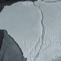  30 yıl sonra harekete geçti! "Ölmeyi reddediyor"