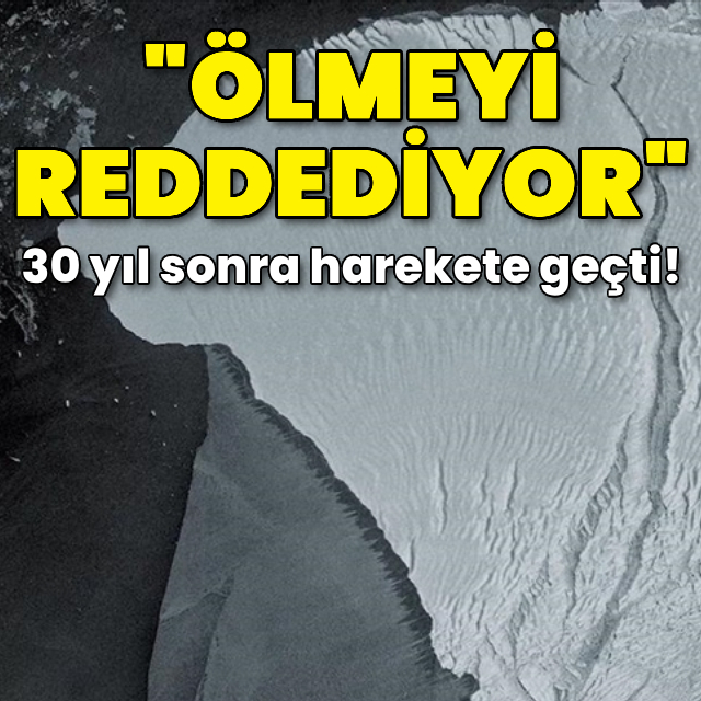 30 yıl sonra harekete geçti! "Ölmeyi reddediyor"