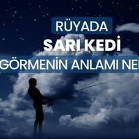 Rüyada Sarı Kedi Görmek Ne Anlama Gelir?