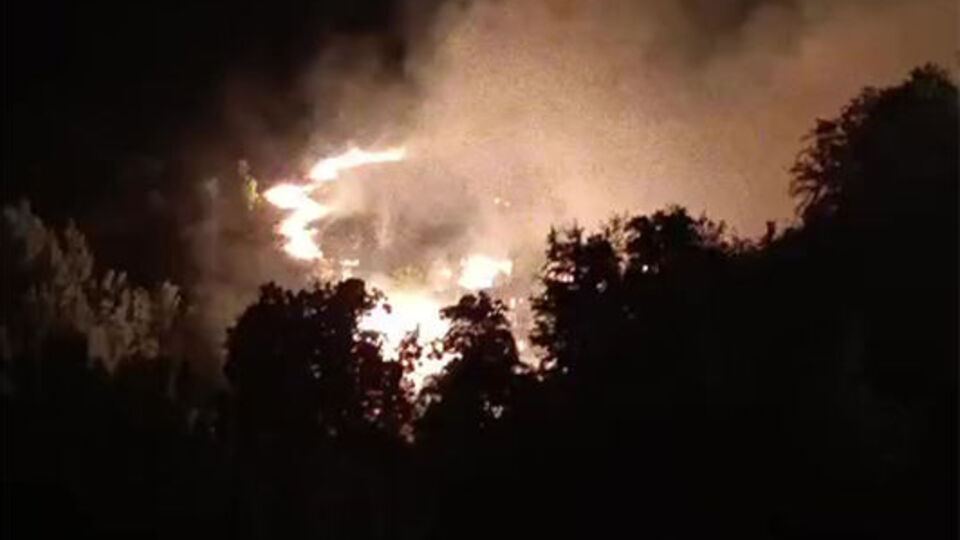 Elazığ'da ormanlık alanda yangın