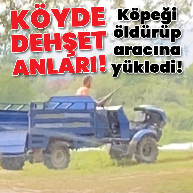 Köpeği öldürüp aracına yükledi!