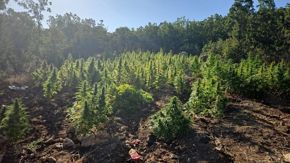 Narcos Türkiye: Milyonlarca ele geçirildi