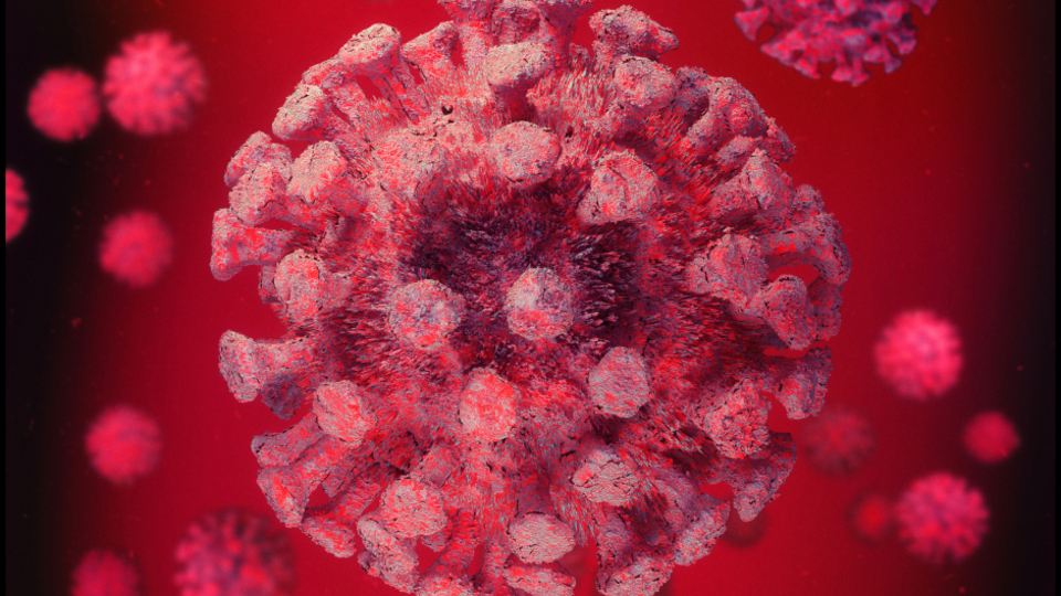 DSÖ, Covid-19 vakalarının son haftalarda arttığı konusunda uyarıda bulundu