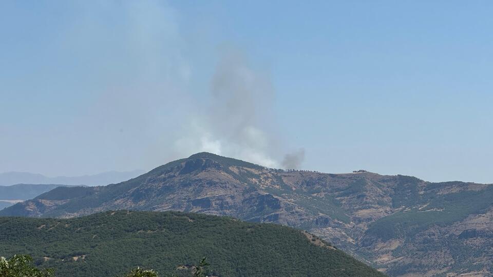 Tunceli'de orman yangını